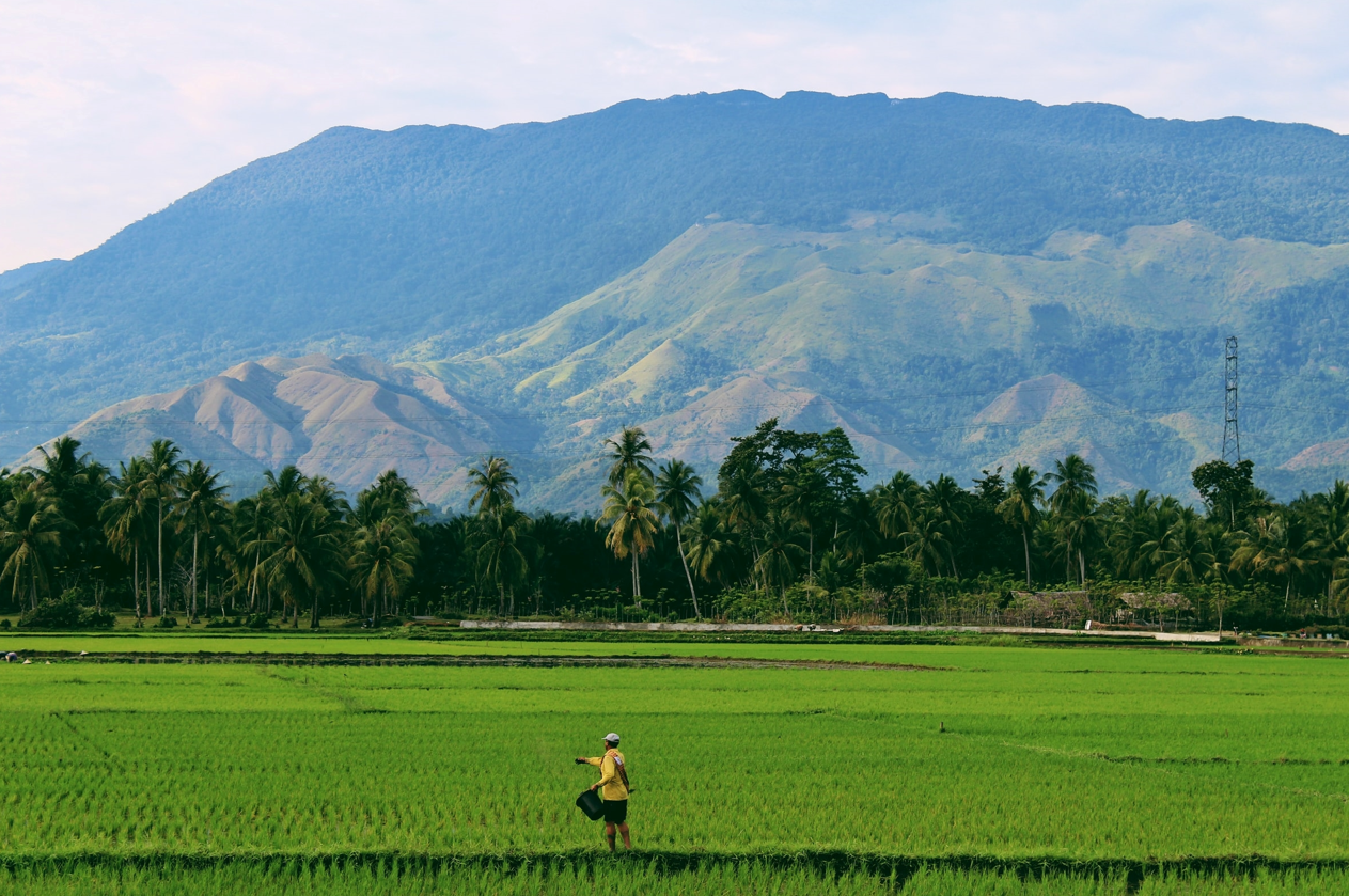Frontier Technology Issues: Frontier technologies for smallholder farmers: addressing information asymmetries and deficiencies Frontier Technology Issues: Frontier technologies for smallholder farmers: addressing information asymmetries and deficiencies