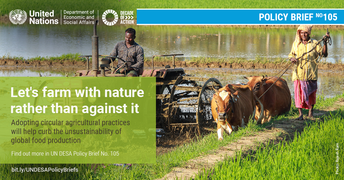 UN/DESA Policy Brief #105: Circular agriculture for sustainable rural development
