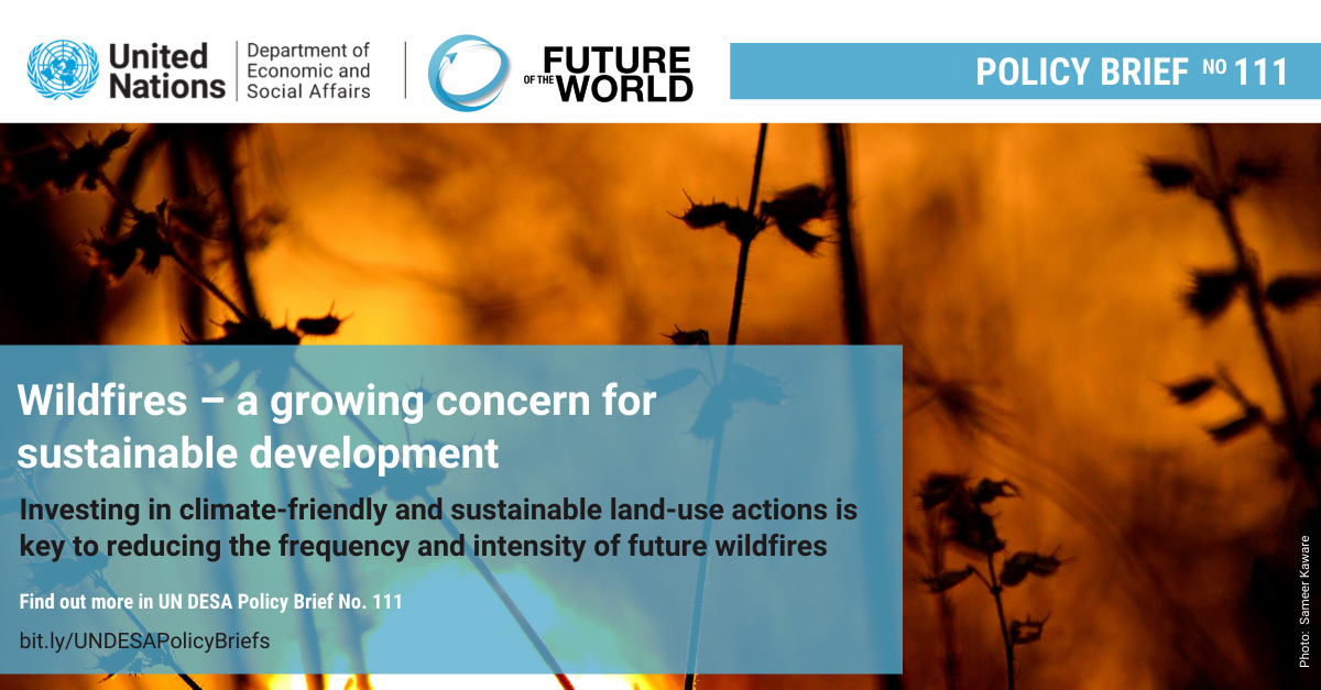 UN/DESA Policy Brief #111: Wildfires ? a growing concern for sustainable development UN/DESA Policy Brief #111: Wildfires ? a growing concern for sustainable development
