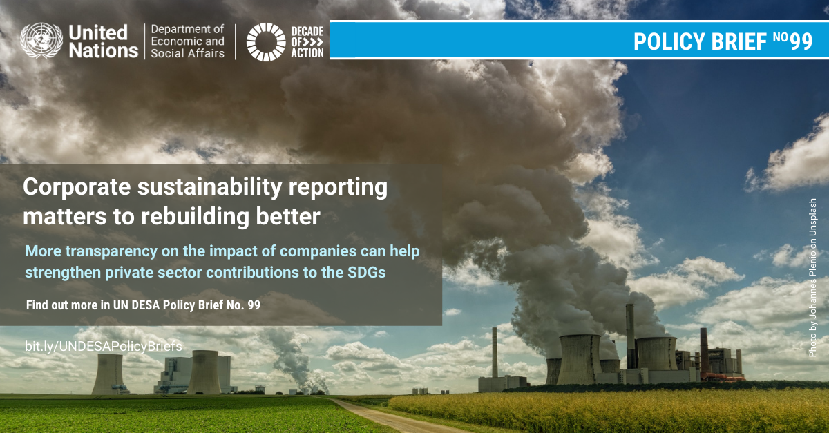 UN/DESA Policy Brief #99: Why does corporate sustainability reporting matter to rebuilding better? UN/DESA Policy Brief #99: Why does corporate sustainability reporting matter to rebuilding better?