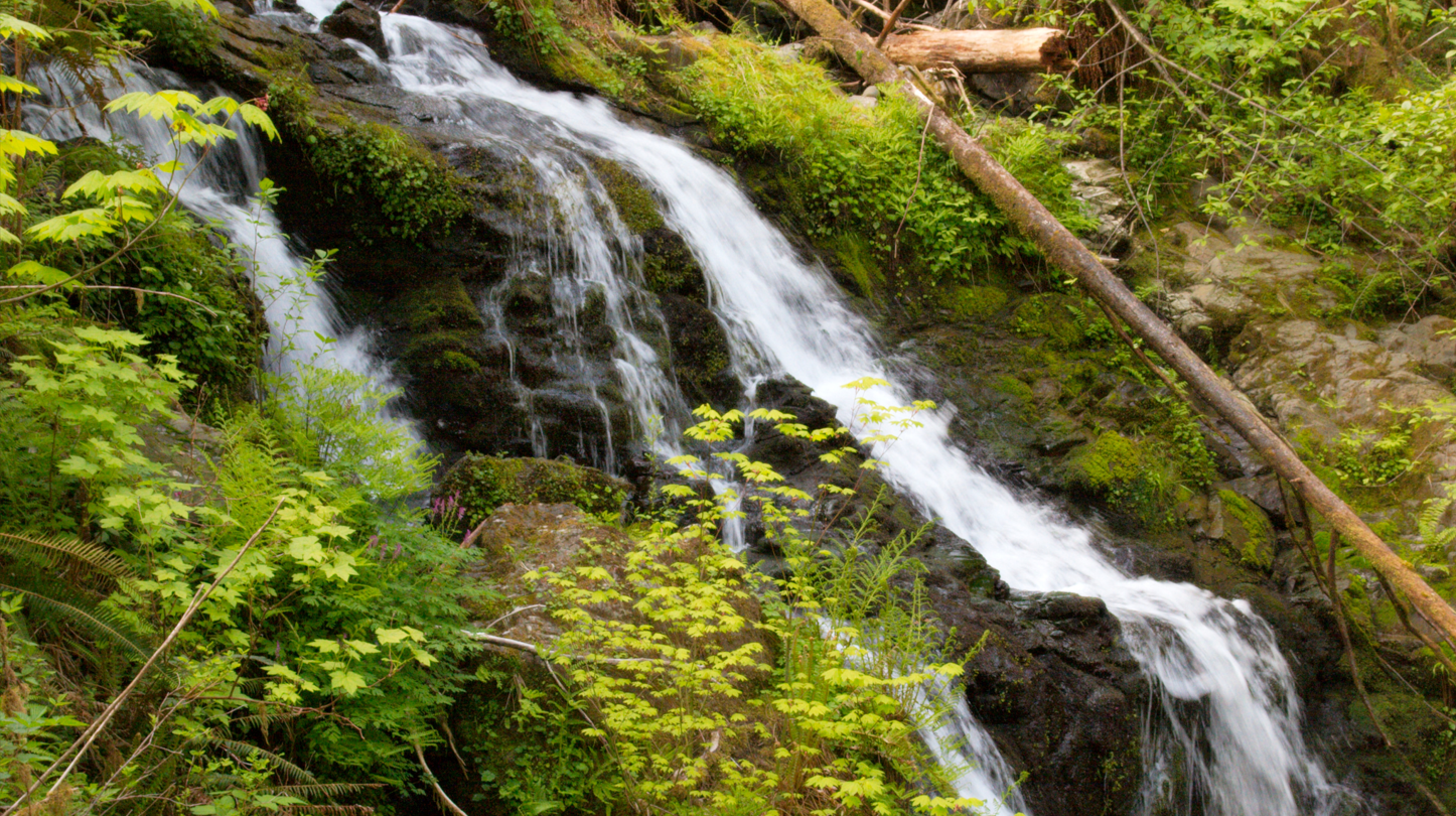 UN DESA Policy Brief No. 144: Moving Beyond GDP and Achieving Our Common Agenda with Natural Capital Accounting UN DESA Policy Brief No. 144: Moving Beyond GDP and Achieving Our Common Agenda with Natural Capital Accounting