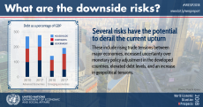 WESP 2018 Mid-year Update: What are the downside risks?