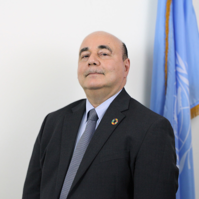 Shantanu Mukherjee, Director, Economic Analysis and Policy Division, UN DESA