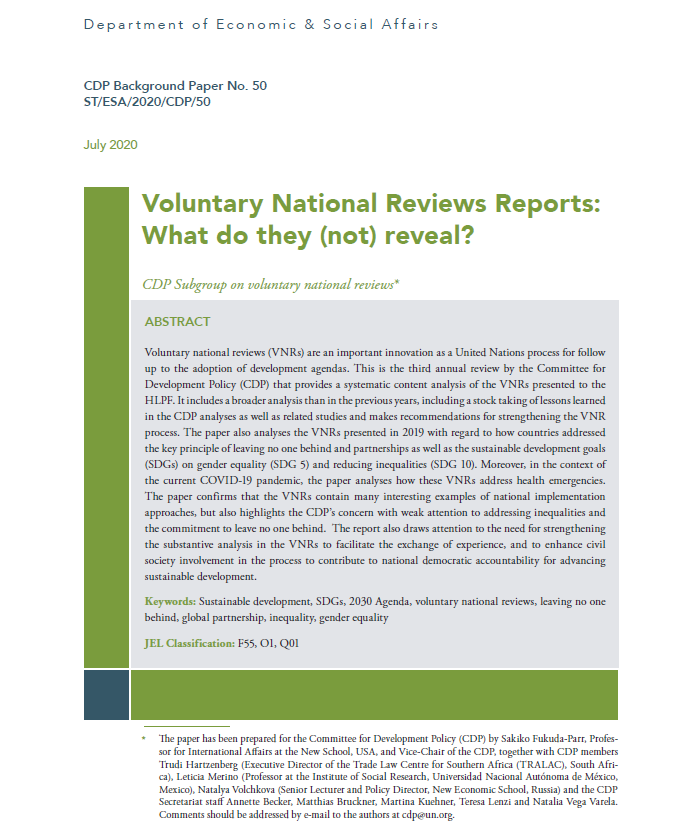 Voluntary National Reviews Reports: What do they (not) reveal?