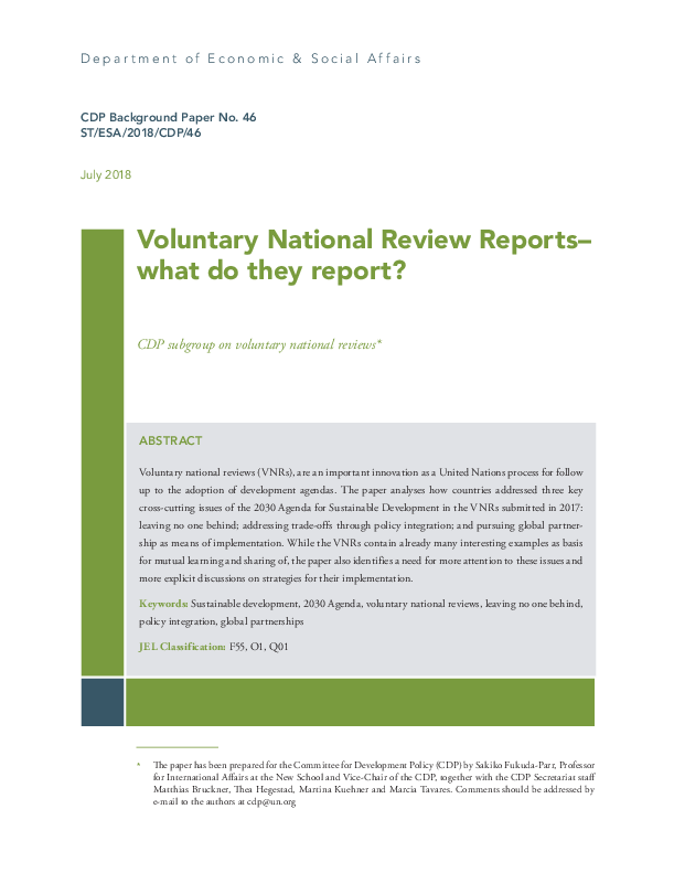 Voluntary National Review Reports - what do they report?