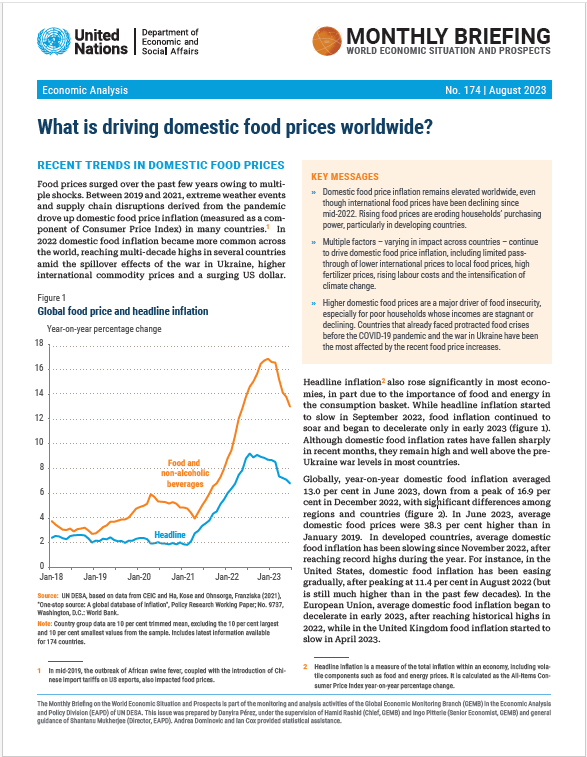 World Economic Situation and Prospects: August 2023 Briefing, No. 174