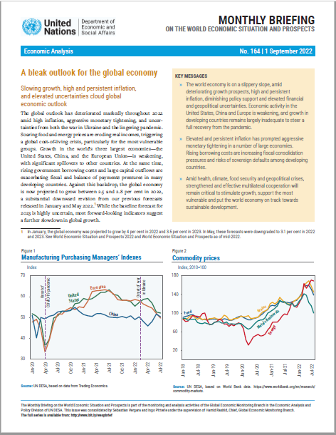 World Economic Situation and Prospects: September 2022 Briefing, No. 164