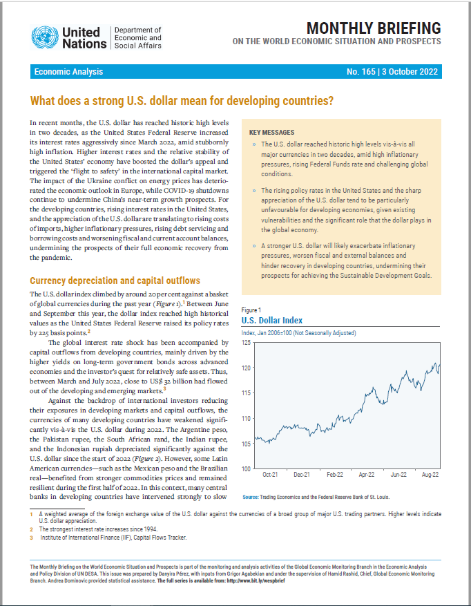 World Economic Situation and Prospects: October 2022 Briefing, No. 165