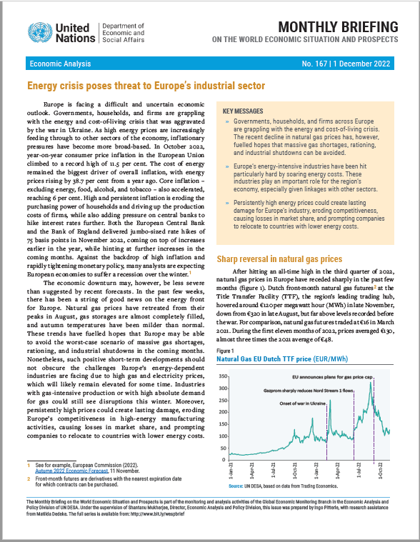 World Economic Situation and Prospects: December 2022 Briefing, No. 167
