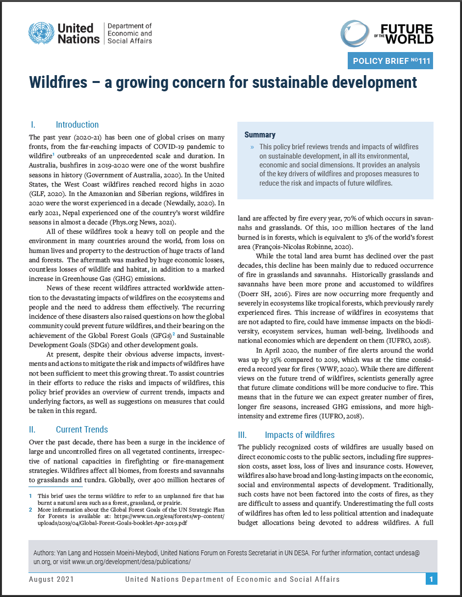 UN/DESA Policy Brief #111: Wildfires ? a growing concern for sustainable development