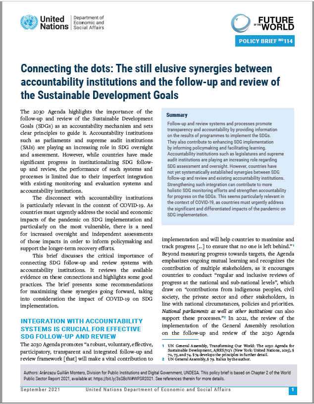 UN/DESA Policy Brief #114: Connecting the dots: The still elusive synergies between accountability institutions and the follow-up and review of the Sustainable Development Goals
