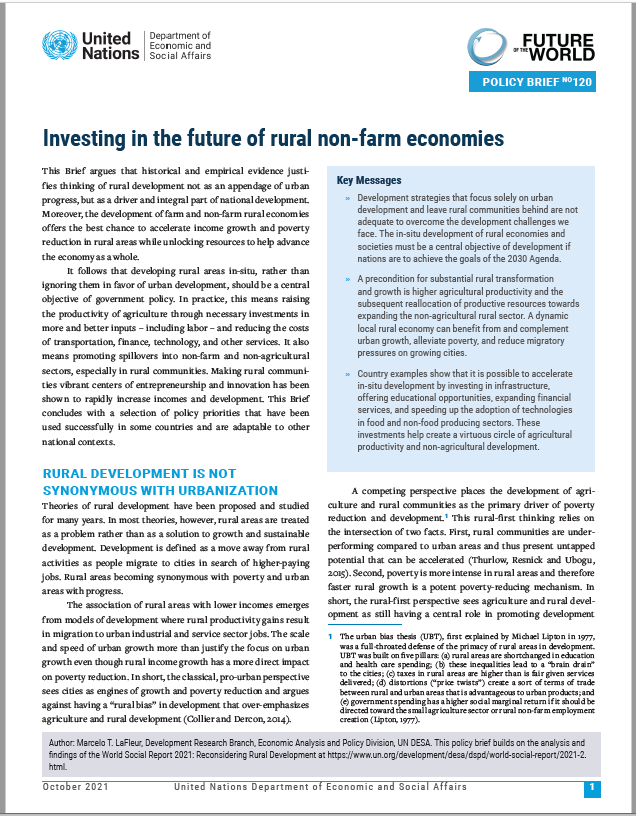 UN/DESA Policy Brief #120: Investing in the future of rural non-farm economies