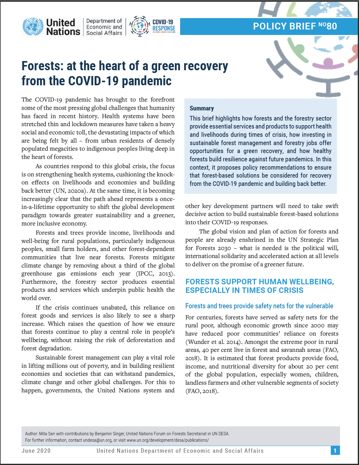 UN/DESA Policy Brief #80: Forests at the heart of a green recovery from the COVID-19 pandemic