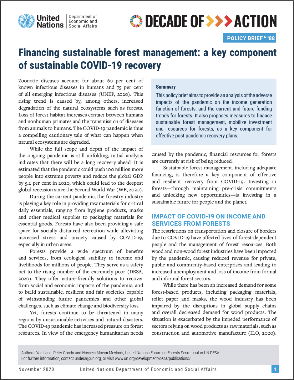 UN/DESA Policy Brief #88: Financing sustainable forest management: a key component of sustainable COVID-19 recovery