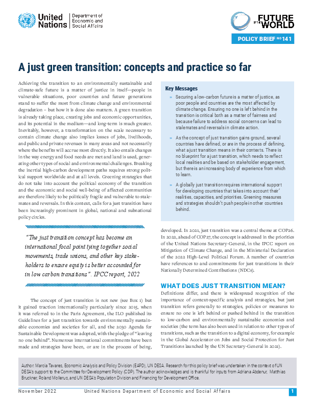 UN DESA Policy Brief No. 141: A just green transition: concepts and practice so far