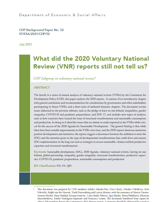 What did the 2020 Voluntary National Review (VNR) reports still not tell us?