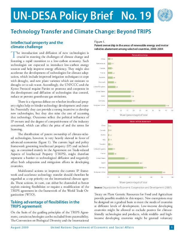 UN/DESA Policy Brief, No. 19