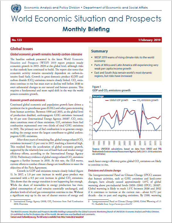 World Economic Situation And Prospects: February 2019 Briefing, No. 123