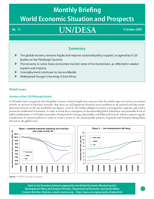 Monthly Briefing on the World Economic Situation and Prospects, No. 13