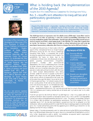 No. 3: Insufficient attention to inequalities and participatory governance
