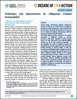 UN/DESA Policy Brief #101: Challenges and Opportunities for Indigenous Peoples? Sustainability