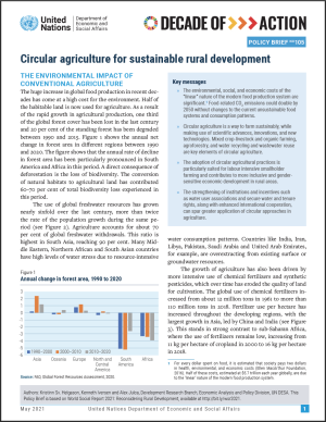 UN/DESA Policy Brief #105: Circular agriculture for sustainable rural development