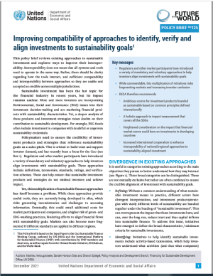 UN DESA Policy Brief No. 125: Improving compatibility of approaches to identify, verify and align investments to sustainability goals
