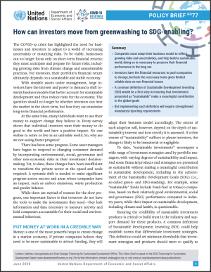 UN/DESA Policy Brief #77: How can investors move from greenwashing to SDG-enabling?