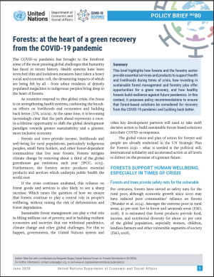 UN/DESA Policy Brief #80: Forests at the heart of a green recovery from the COVID-19 pandemic