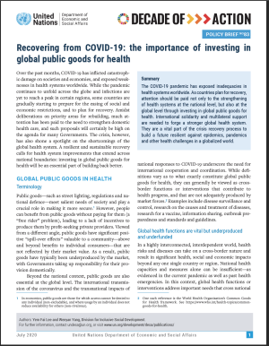 UN/DESA Policy Brief #83: Recovering from COVID-19: the importance of investing in global public goods for health