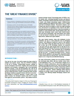 UN DESA Policy Brief No. 134: The Great Finance Divide
