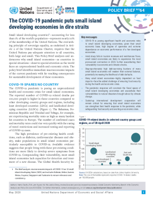 UN/DESA Policy Brief #64: The COVID-19 pandemic puts Small Island Developing economies in dire straits