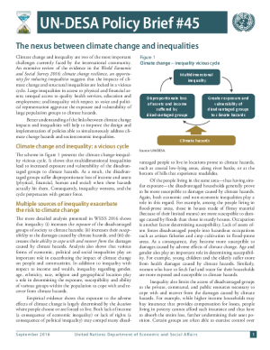 UN/DESA Policy Brief #45: The nexus between climate change and inequalities