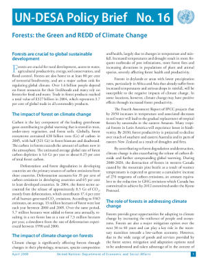 UN/DESA Policy Brief, No. 16