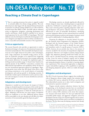 UN/DESA Policy Brief, No. 17