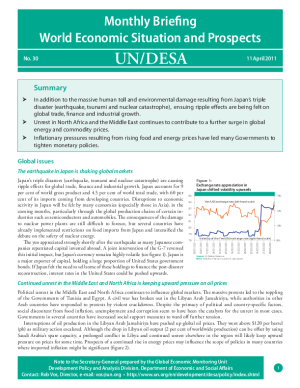 Monthly Briefing on the World Economic Situation and Prospects, No. 30